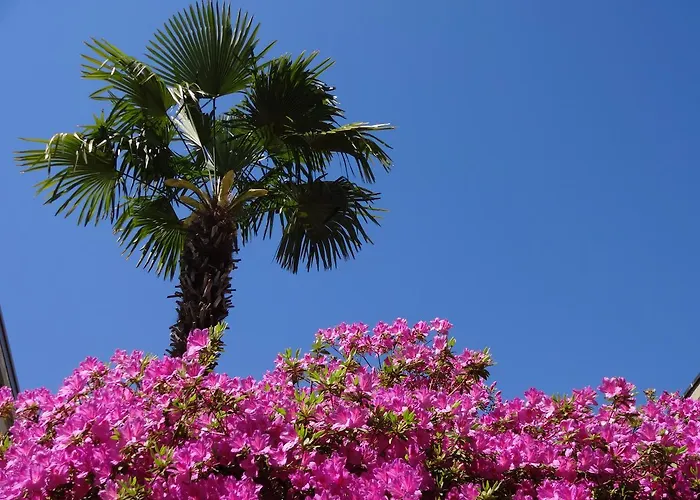 شقة فندقية Residenza Paradiso Di Vacanze 2*