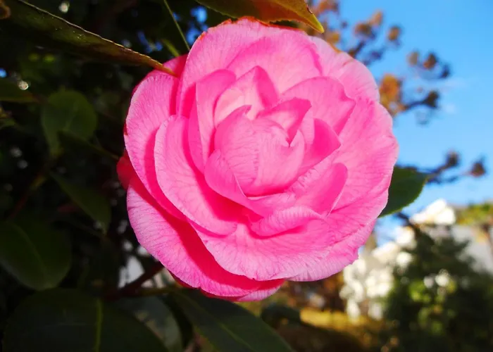 Residenza Paradiso Di Vacanze 2*