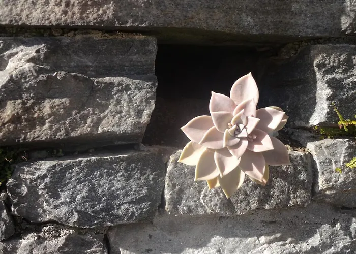 Residenza Paradiso Di Vacanze Hotel apartamentowy