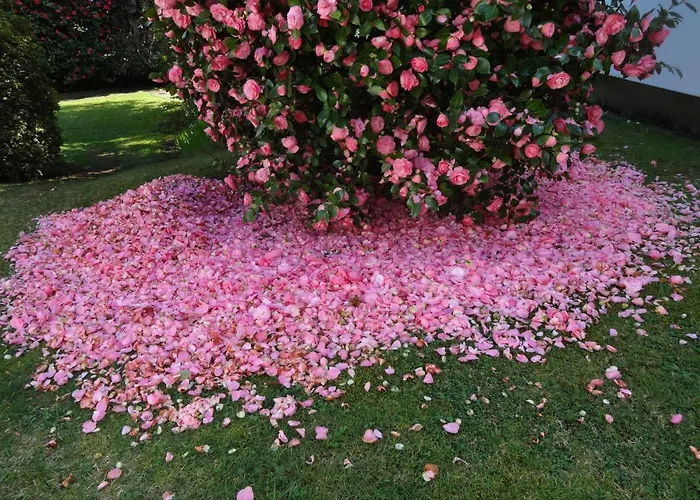 Residenza Paradiso Di Vacanze Hotel apartamentowy