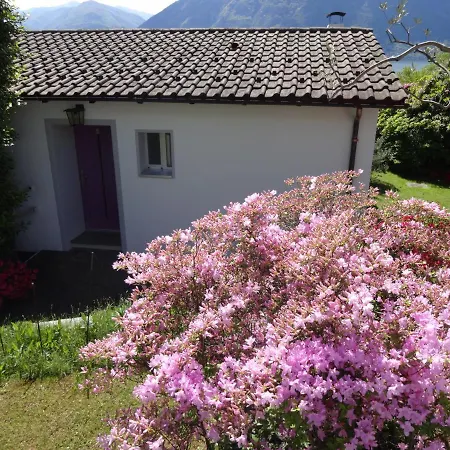 Paradiso Di Vacanze 2*