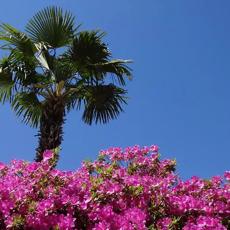 Lejlighedshotel Paradiso Di Vacanze 2*