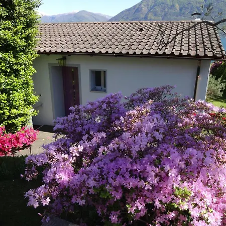 Residenza Paradiso Di Vacanze Aparthotel