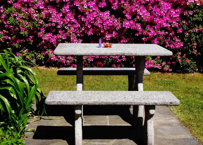 Paradiso Di Vacanze Lejlighedshotel