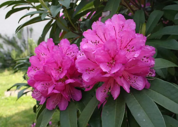 Paradiso Di Vacanze 2*